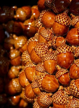 Afbeelding in Gallery-weergave laden, Eikeltjes Vaas Middel