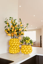 Carica l'immagine nel visualizzatore di Gallery, Vase Citron Moyen