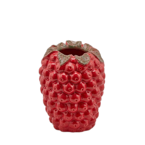 Raspberry Vase