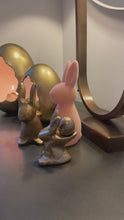 Carica e avvia il video nel visualizzatore di galleria, Velvet Pink Easter Bunny
