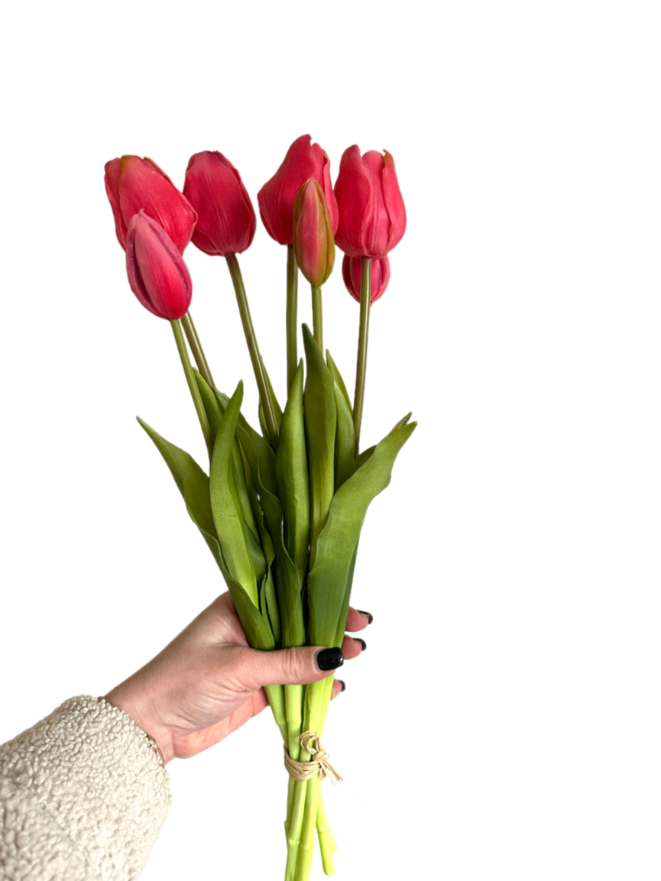 Tulipes Roses | Lot de 7