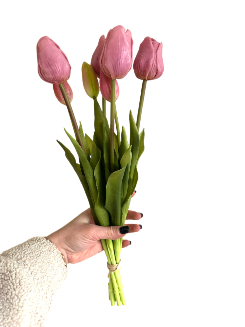 Tulipes Lilas | Lot de 7